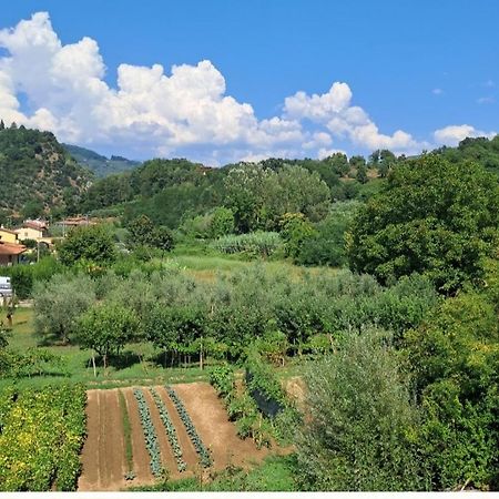 Apartamento La Locanda Di Nonna Jolanda Borgo a Mozzano Exterior foto